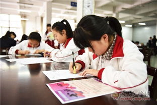 筆墨傳承，青春飛揚——2016彭城書法大賽海選第三站走進徐州高級中學